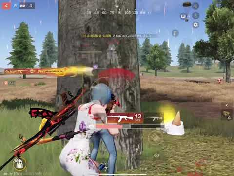 【荒野行動】1日クオリティ　81式 only
