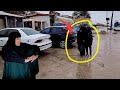 Nomadic Woman S Medical Condition Revealed Surprise Nomadic Woman S Medical Condition Revealed Surprise