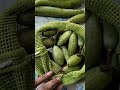 🫛healthy life का सीक्रेट 👉 हरी सब्जियां 💚