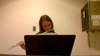 Noragami Aragoto - Nirvana (flute cover)