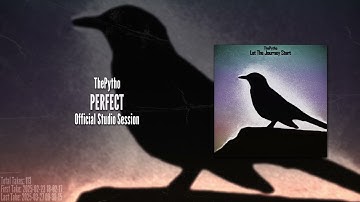 ThePytho - Perfect (Official Studio Session)