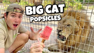 Making Meat Popsicles For Big Cats ! Lions, Tigers, Jaguars, Leopards !!