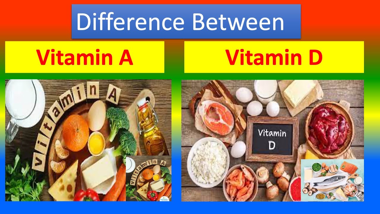 Whats The Difference Between Vitamin B6 And B12 Whats The Difference Between Vitamin B6 And B12