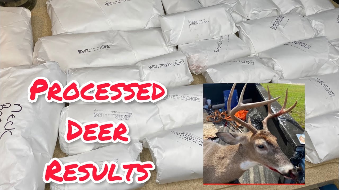Processed Deer Results - YouTube