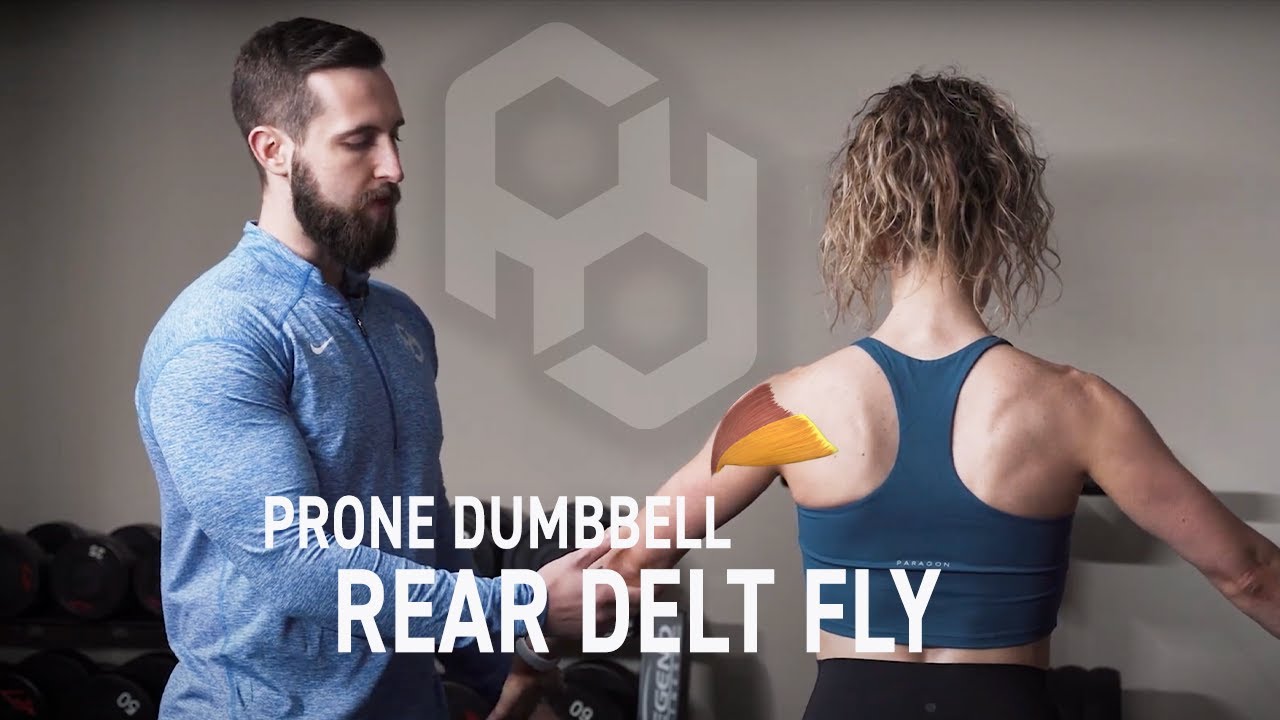 How to: Prone Dumbbell Rear Delt Fly - YouTube