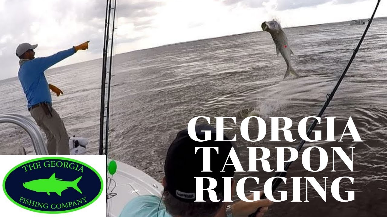 Tarpon Fishing Rig for Coastal YouTube