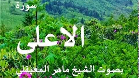 سورة الاعلى بصوت الشيخ / ماهر المعيقلي 87