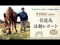 シンザン記念勝ち馬ドリームシグナルら 角居元調教師と共に過ごす馬たち【角居勝彦 引退馬活動レポート Vol.2】