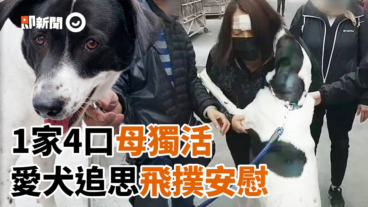 1家4口3死！愛犬看新聞難過流淚...追思會激動吻獨活母｜台鐵太魯閣事故｜米克斯｜寵物動物
