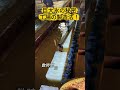 巨大氷の秘密! 工場の製造法! #製氷工場 #巨大氷 #工場見学 #ものづくり #製造技術