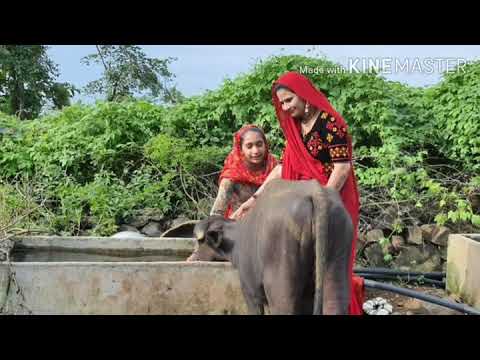 jay rupal maa rupal dham rampara