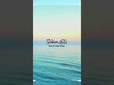 الله حرم الظلم على نفسه وجعله محرما بين عباده    