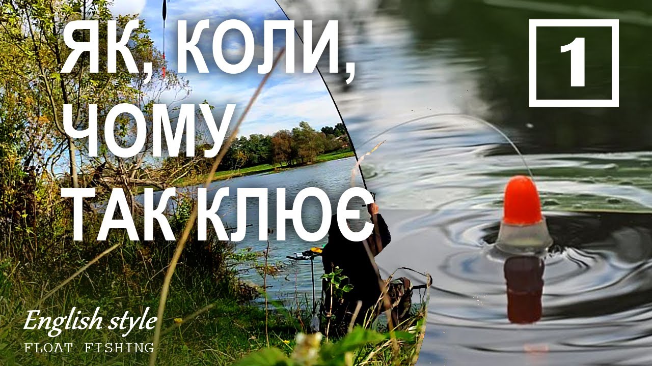 Коли, чому і як клює | Професійний посібник для рибалок