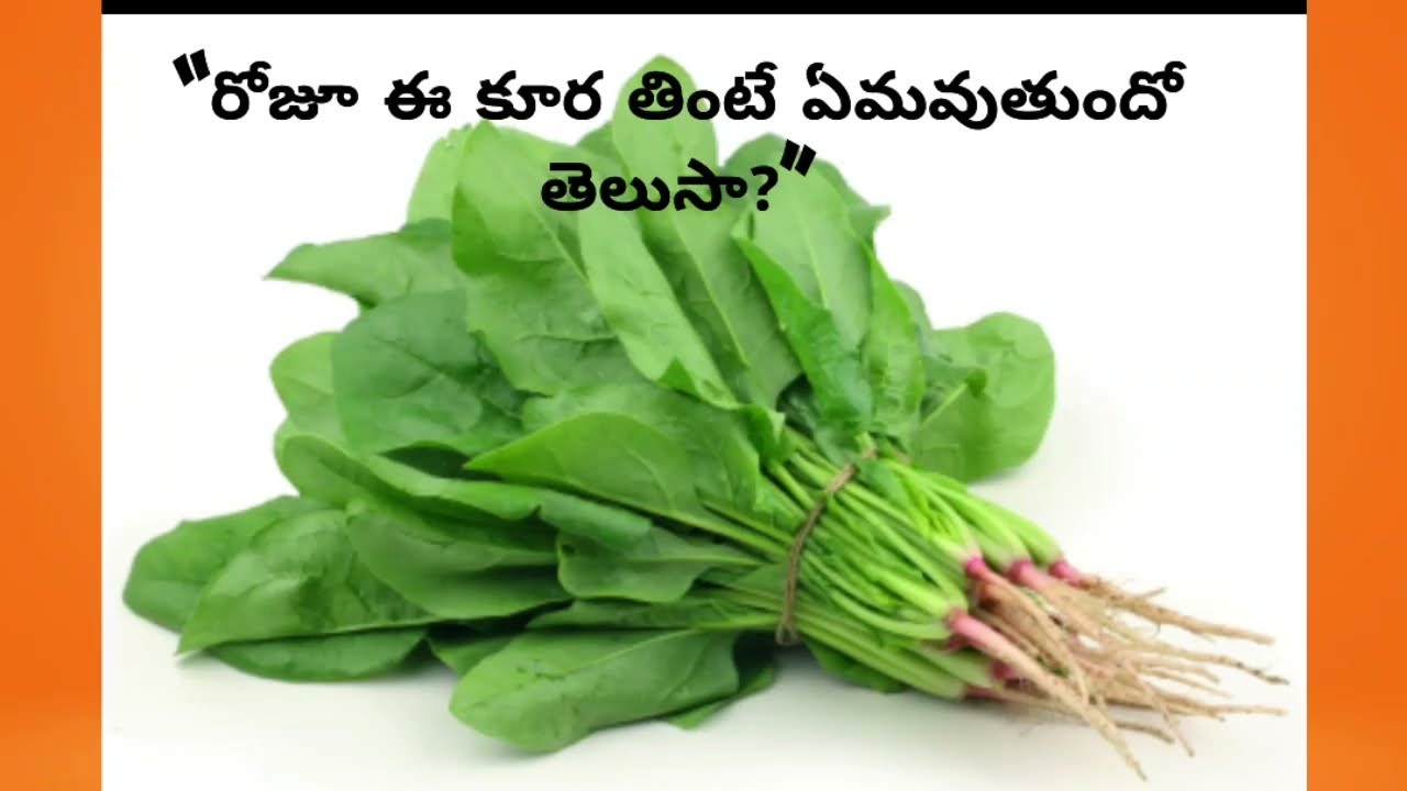 Green Leafy Vegetables Benefits Telugu 