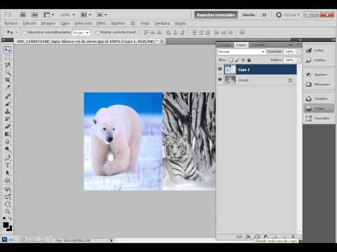 como fusionar  imagenes tutorial photoshop CS