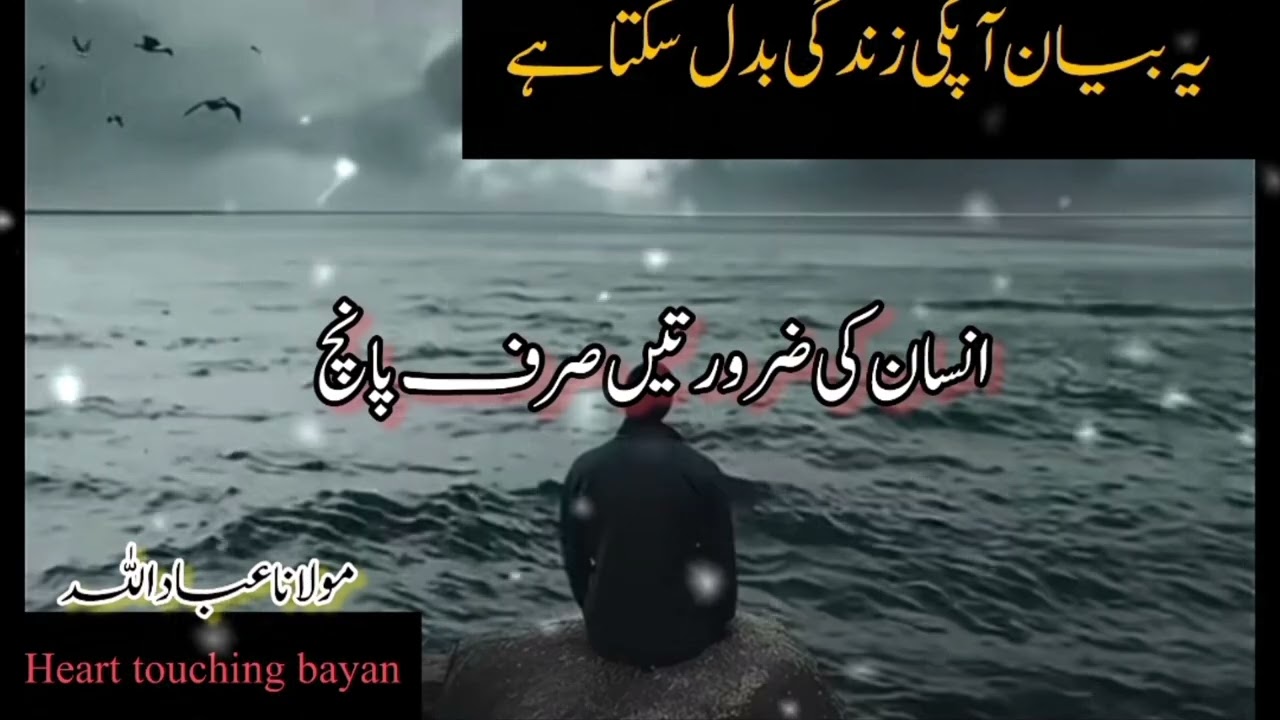 Insaan ki Zaroortain Sirf Paanch || Heart Touching Bayan | Molana Ibad Ullah | Short Islamic clip 