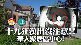 20210303I 十九狂漢出沒注意，華人聚居區小心！ |  正向分析