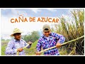 ASÍ ES EL CORTE DE CAÑA DE AZUCAR 🌾🎋 Terminamos haciendo raspados 😅🍧