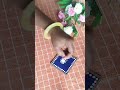Easy wall decor | diy beautiful diya decor #shorts