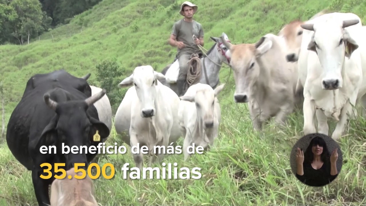 Cadena Nacional 14 05 2017 Celebracion Del Dia Del Agricultor