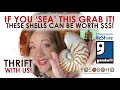 THRIFT WITH US ReStore &amp; Goodwill in Delaware Ohio! 🛍 Come &#39;sea&#39; the BOLOS we found! 🐚😁