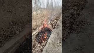 Farmland irrigation canal debris removal process