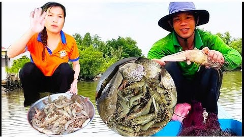 Đi chài sông Nhật Nguyệt dính cá 🐟 ngát khủng và tôm sú nhiều quá cuộc sống mưu sinh “Hoàng Lê Vlog 
