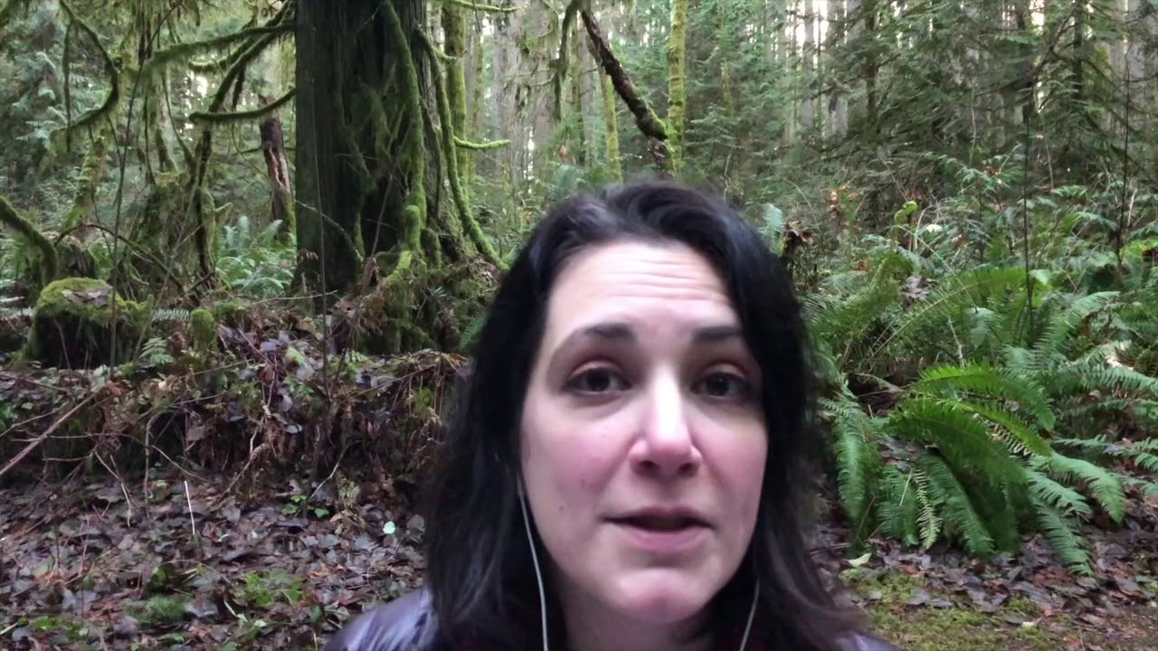 Teachings of the Trees by Jessica Star Rockers - YouTube