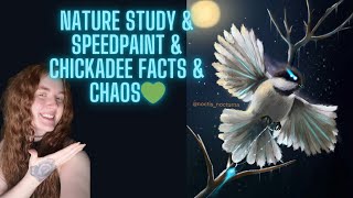 Chicka-Dee-Dee-Dee-Dee Speedpaint + Yap Sesh + Chickadee Facts