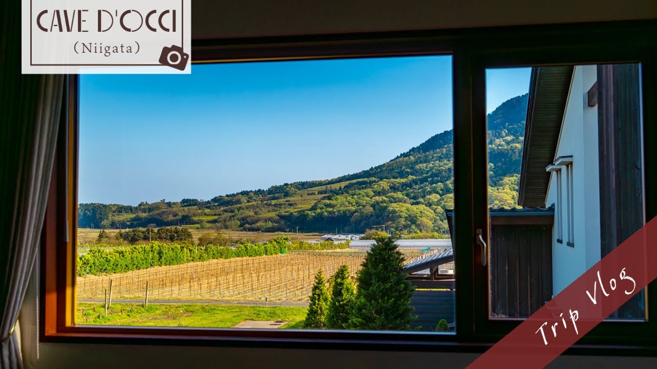 The Vineyard Retreat в Ниигате, Япония.🚅 Вино, спа и роскошная еда.🍷
