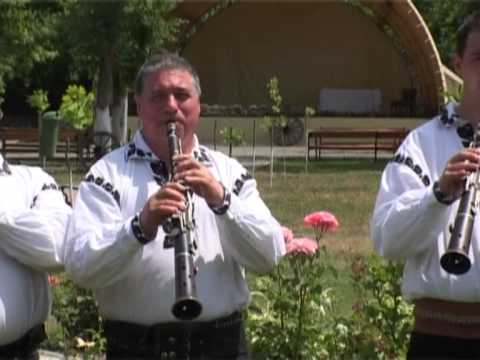 TARAFUL FRATII BRICIU INSTRUMENTALA