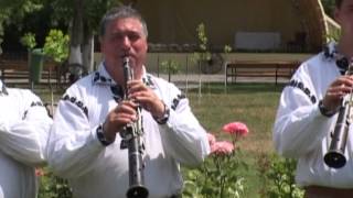 TARAFUL FRATII BRICIU INSTRUMENTALA