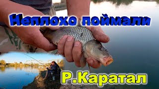 видео: #Каратал     Наловили рыбы//Бешеный клев. картинка: #Каратал     Наловили рыбы//Бешеный клев.