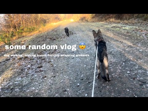 30th of november 2023 vlog