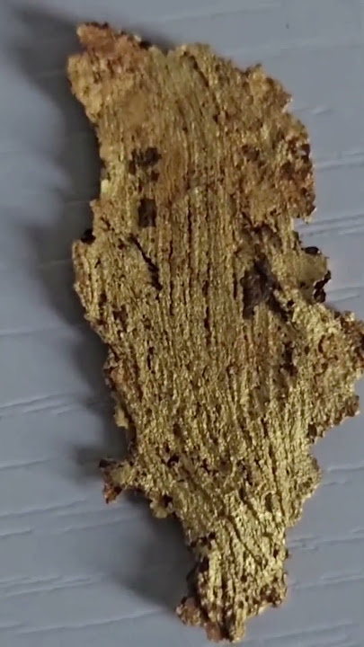 Look at this rare leaf gold find. Nature’s art in pure gold form super insane! #shortsvideo #shorts
