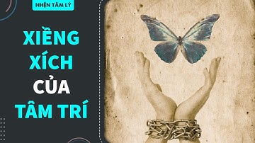 SỰ BẤT LỰC TỰ LUYỆN VÀ MỘT LÝ THUYẾT VỀ TRẦM CẢM | Leaves | KHOA HỌC