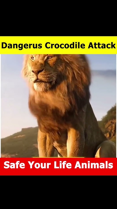🥵👀 | Animals Can Beat Crocodile #shorts #viral #facts - YouTube