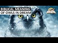 Biblical Meaning of OWLS in Dream - Spiritual Meaning of Owl