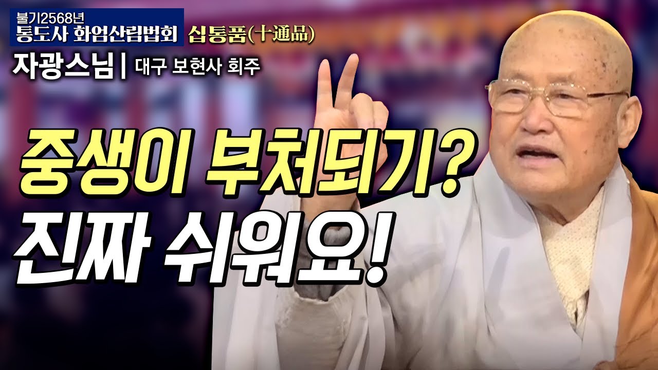 중생 vs보살vs부처 | 자광스님 (대구 보현사 회주)#통도사화엄산림법회 21회 십통품