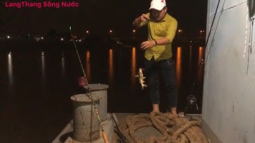 Câu Cá Út Ở Cần Giờ Với Nhà Bè Bể Đầu Anh Em Ơi Buồn Thật Chứ in Cần Giờ Lang Thang Sông Nước