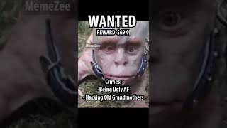 Wanted