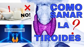 Cómo COMENZAR a SANAR la TIROIDES! 6 Factores que provocan Hipotiroidismo/Hiperdiroidismo