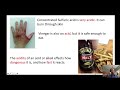 Acids and Bases Quiz