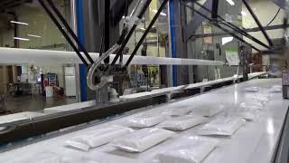 102678b BluePrint Automation (BPA) UD Carton Loading System