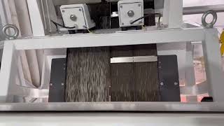 VSEE Brand Color Sorting Machine Working in