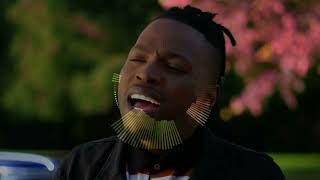 free Mduduzi Ncube X Blaq Diamond Type Beat 2024