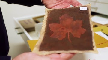 Atlas of Analytical Signatures of Photographic Processes