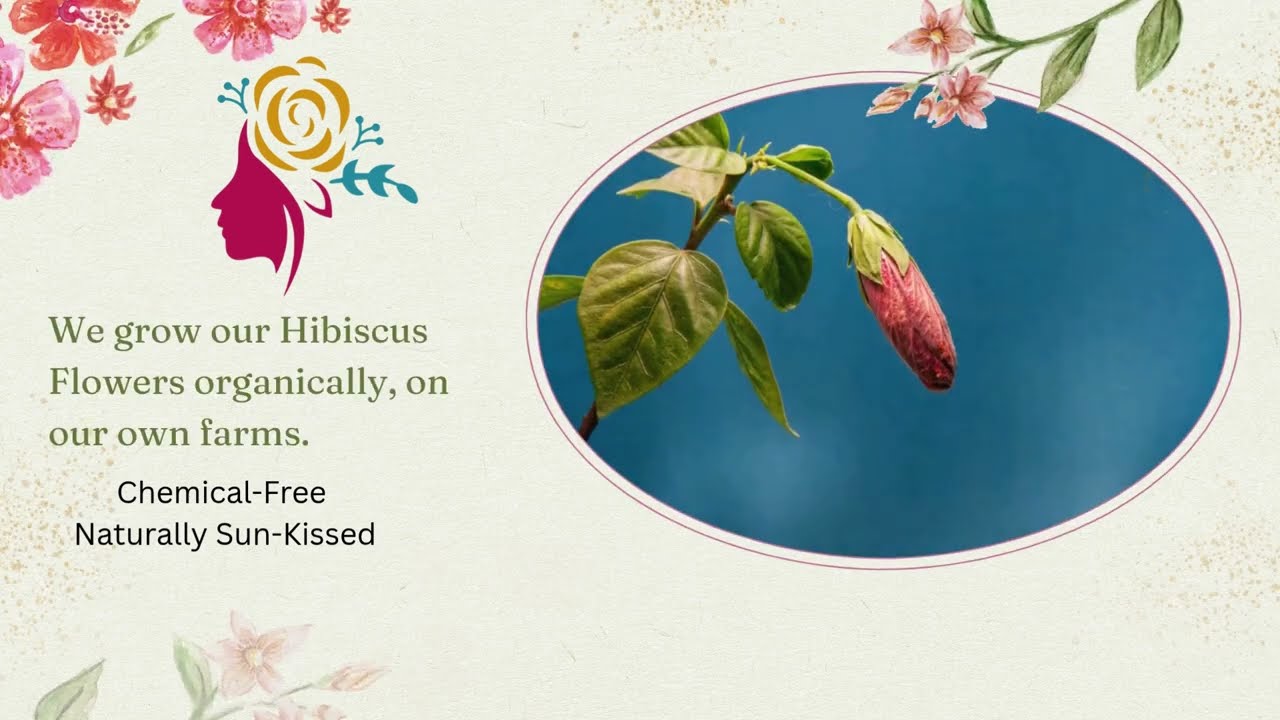 Top Dried Hibiscus Flower Manufacturer & Supplier in India | Narti Herbs