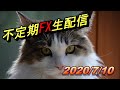 不定期FX生配信　2020年7月10日