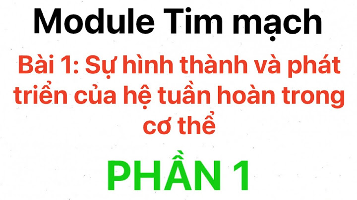 2 sự hình thành và phát triển của thuật toán năm 2024